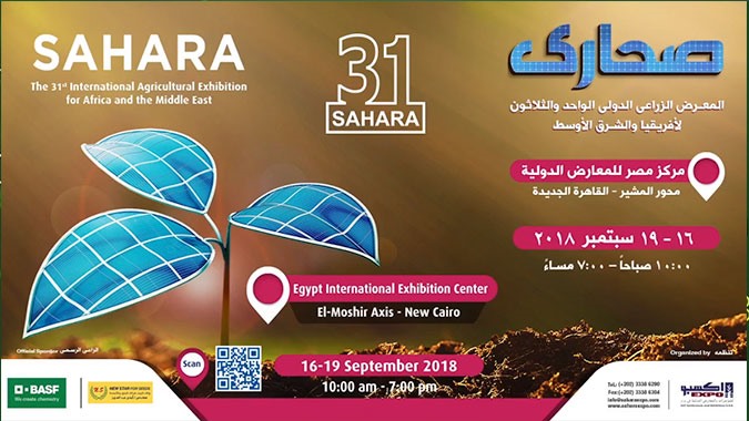 MÄ±sÄ±r Sahara 2018